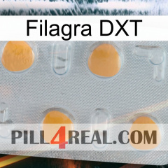 Filagra DXT 24